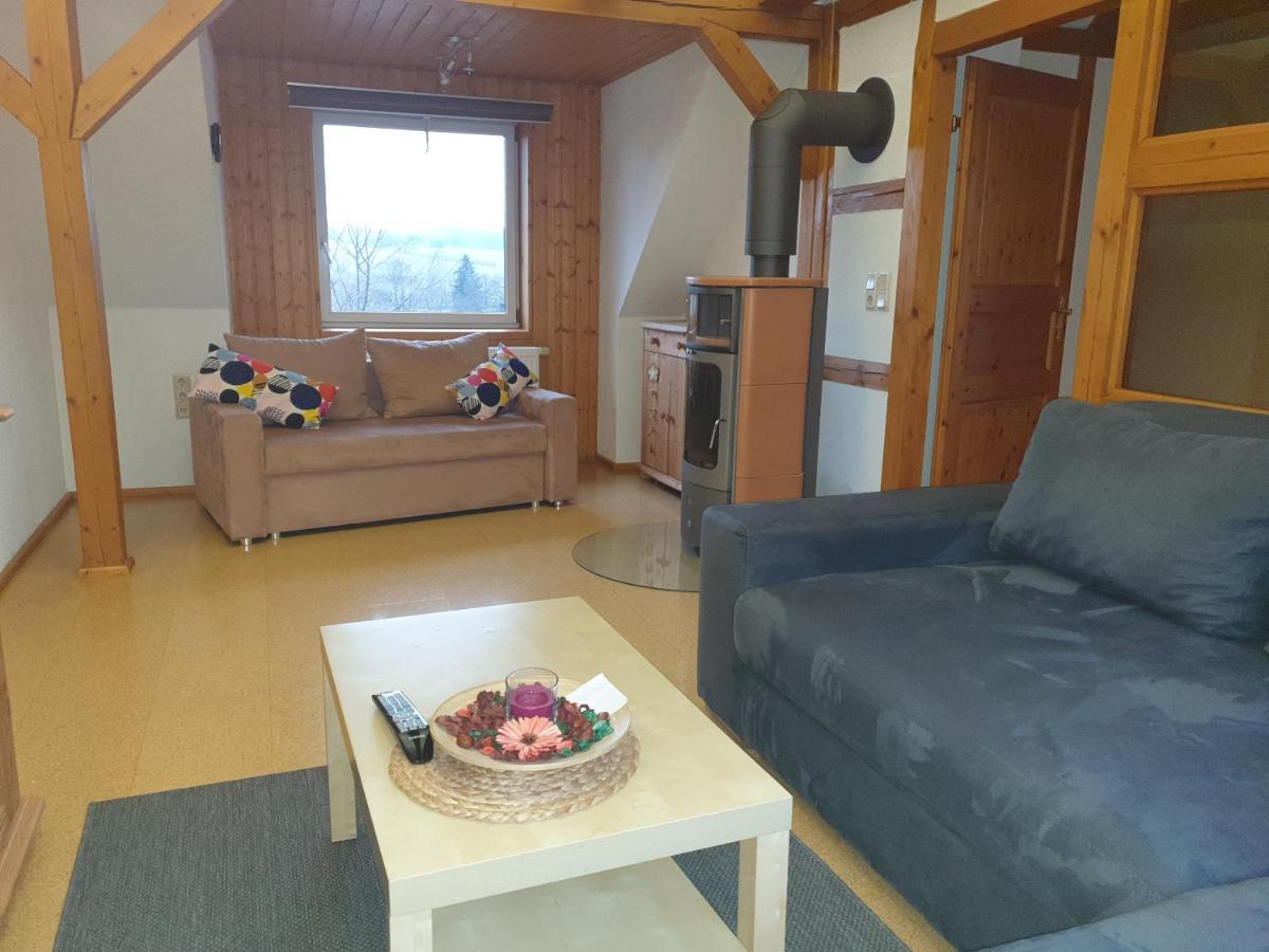 Die Gemuetliche Ferienwohnung Fuer Jedermann! Oppach Exterior foto