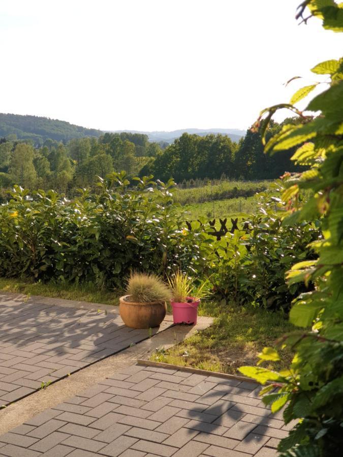 Die Gemuetliche Ferienwohnung Fuer Jedermann! Oppach Exterior foto